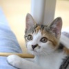 Thumbnail of related posts 068