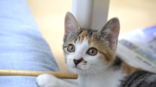 Thumbnail of post image 073