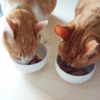 Thumbnail of related posts 173