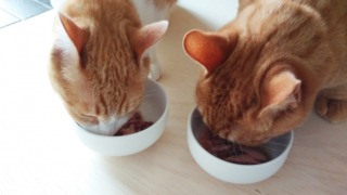 Thumbnail of post image 134