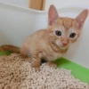 Thumbnail of related posts 046
