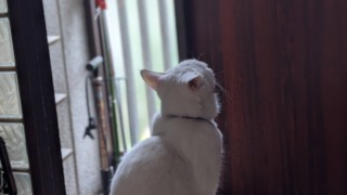 Thumbnail of post image 019