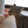 Thumbnail of related posts 156