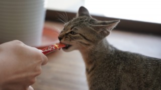 Thumbnail of post image 119