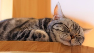 Thumbnail of post image 140