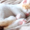 Thumbnail of related posts 044