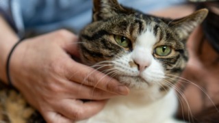 Thumbnail of post image 046