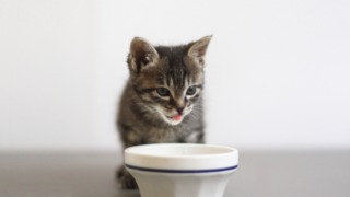 Thumbnail of post image 178