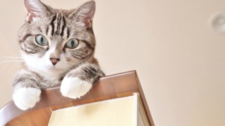 Thumbnail of post image 047