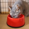 Thumbnail of related posts 177