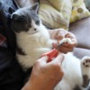 Thumbnail of related posts 149