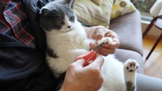 Thumbnail of post image 048