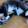 Thumbnail of related posts 013