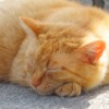Thumbnail of related posts 120