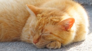 Thumbnail of post image 131