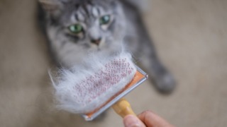 Thumbnail of post image 033