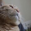 Thumbnail of related posts 007