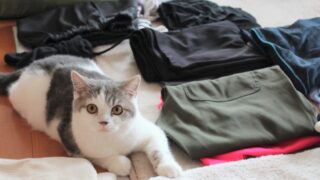 Thumbnail of post image 028