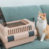 Thumbnail of related posts 019