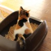 Thumbnail of related posts 128