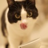 Thumbnail of related posts 116