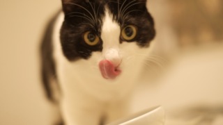 Thumbnail of post image 011
