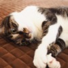 Thumbnail of related posts 144