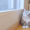 Thumbnail of related posts 079