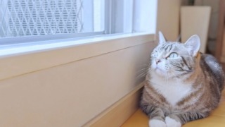 Thumbnail of post image 067