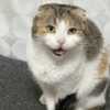 Thumbnail of related posts 112