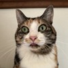 Thumbnail of related posts 165