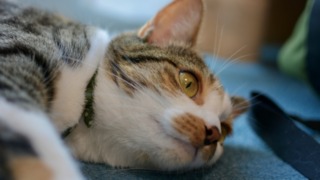 Thumbnail of post image 135