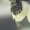 Thumbnail of related posts 074