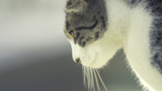 Thumbnail of post image 127