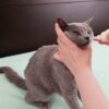 Thumbnail of related posts 148