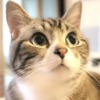 Thumbnail of related posts 091