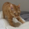 Thumbnail of related posts 041