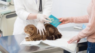 Thumbnail of post image 038