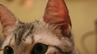Thumbnail of post image 092