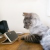 Thumbnail of related posts 083