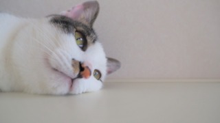 Thumbnail of post image 117