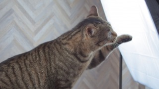 Thumbnail of post image 003
