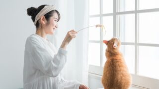 Thumbnail of post image 002