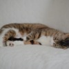 Thumbnail of related posts 067