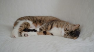 Thumbnail of post image 165