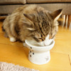 Thumbnail of related posts 119