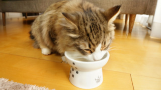 Thumbnail of post image 039