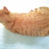 Thumbnail of related posts 007