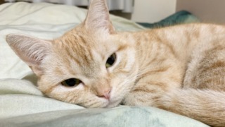 Thumbnail of post image 114