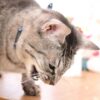 Thumbnail of related posts 087
